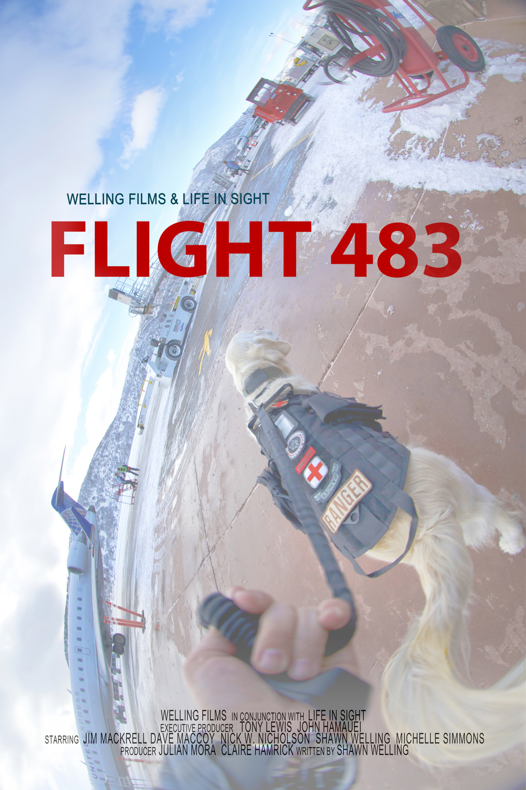 Flight 483 (фильм, 2020) — актеры, трейлер, фото