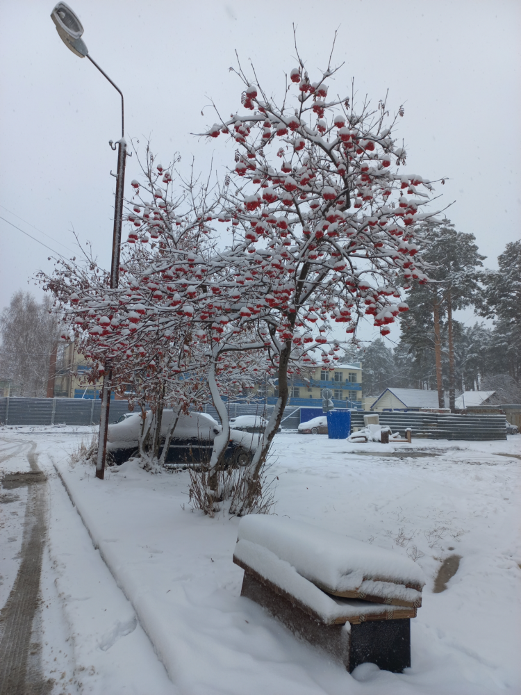 Hello-Winter-1.png