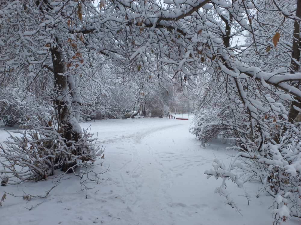 Hello-Winter-10.png