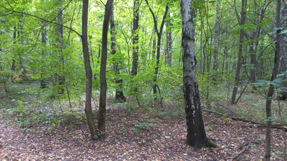 20220909-115027.jpg