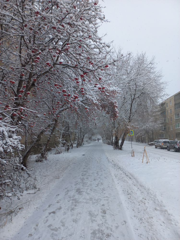 Hello-Winter-7.png