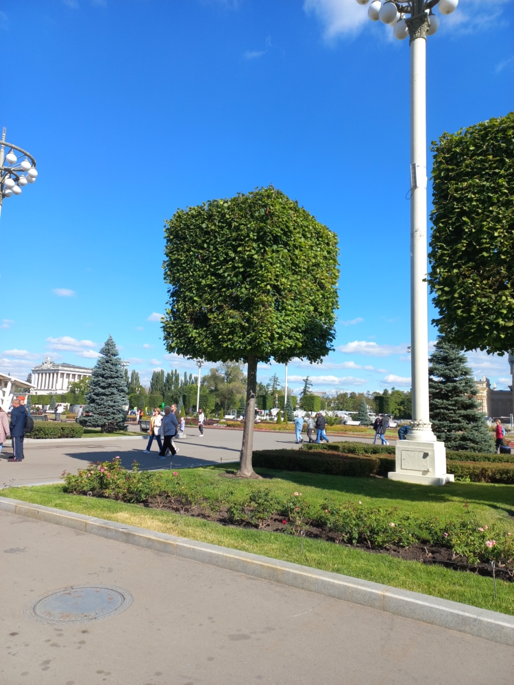 20220910-112226.jpg