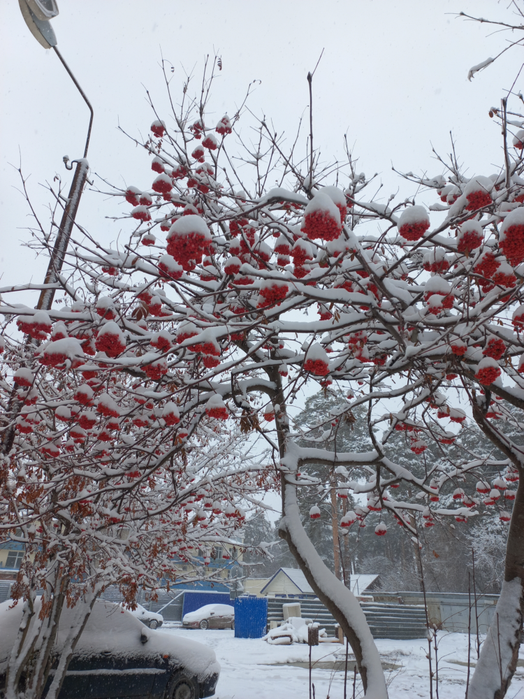 Hello-Winter-2.png