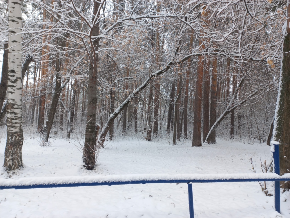 Hello-Winter-12.png