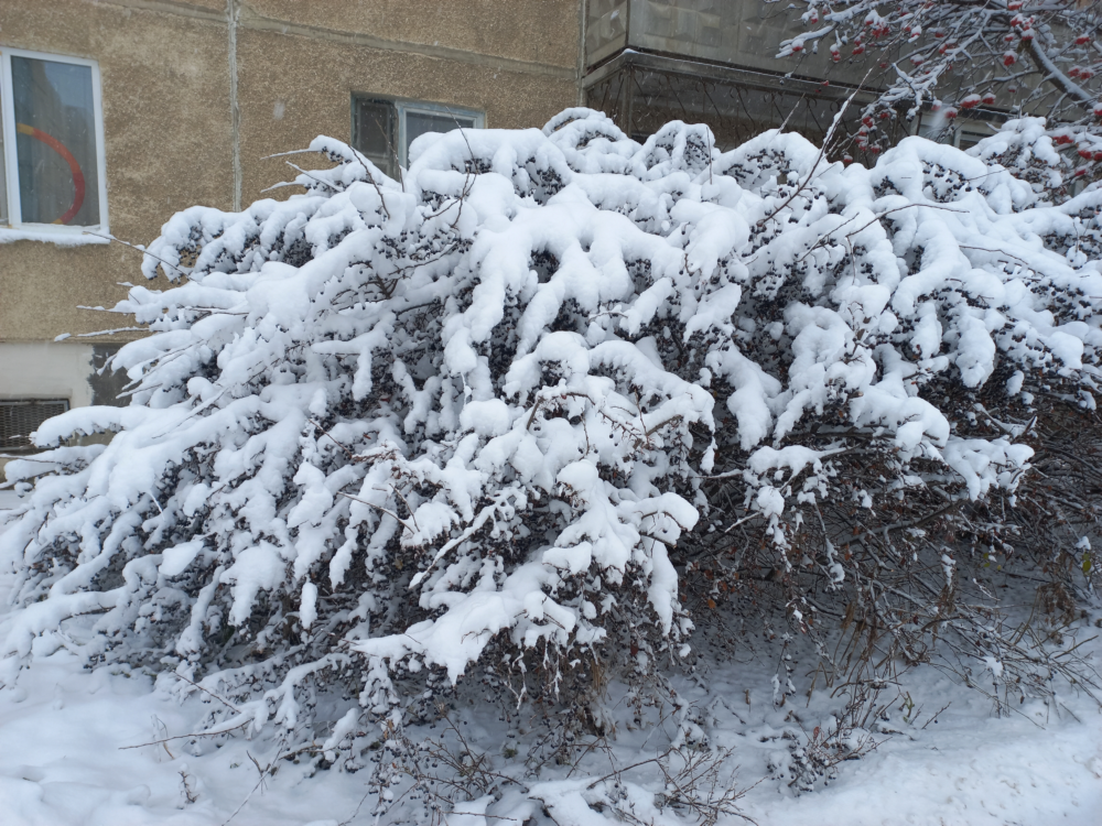 Hello-Winter-6.png