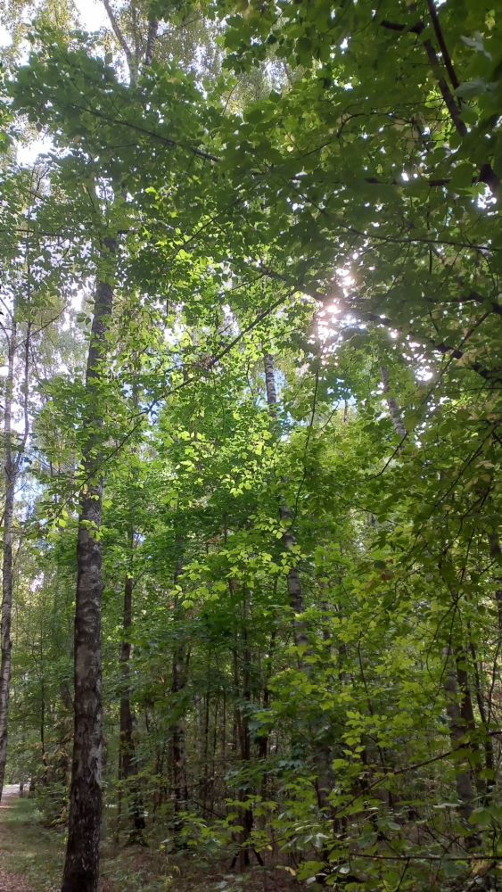 20220909-113214.jpg