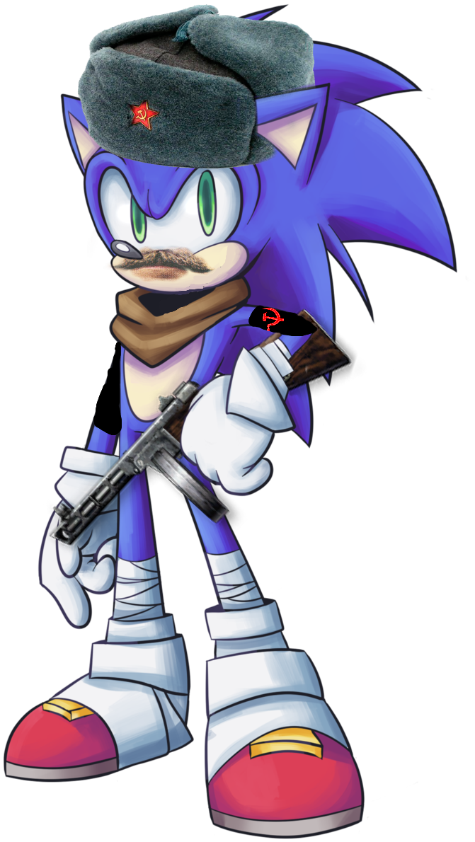 Sonic BOOM the maker - Sonic SCANF